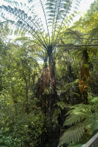 Auf dem Abel Tasman Coast Track