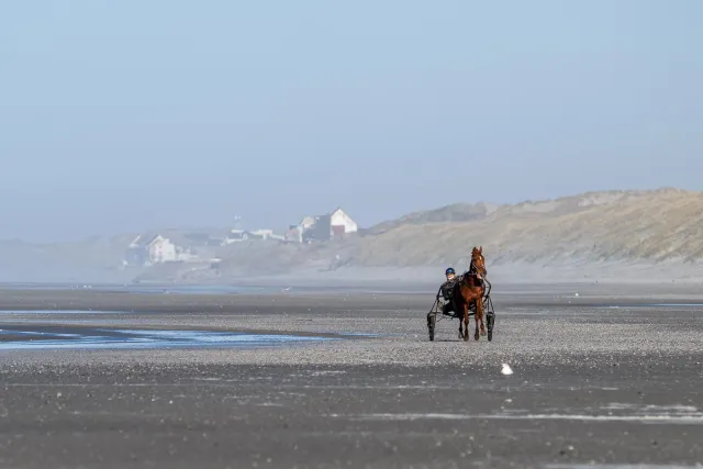 Ein Einspänner am Strand