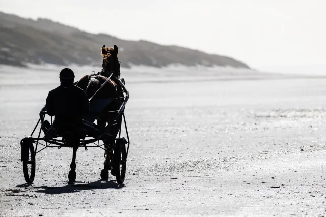 Ein Einspänner am Strand