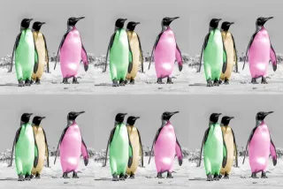 Warhol penguins as non-fungible token (NFT)