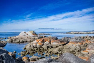 Bay of Fires bei St. Helens in Tasmanien